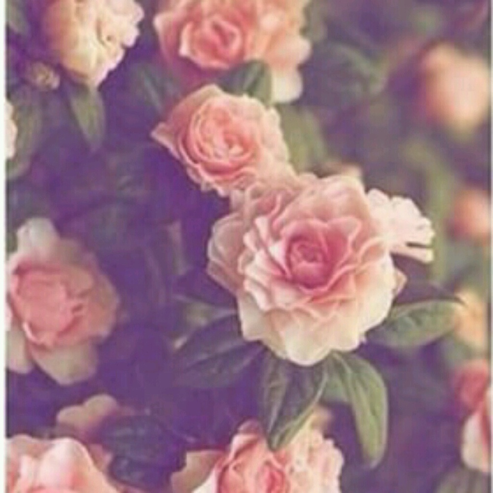 Meet your Posher, Kaitlyn